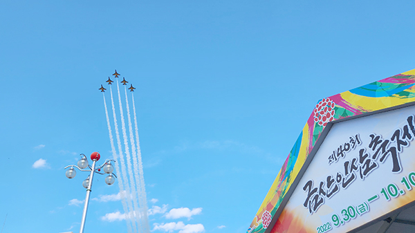 제41회 금산세계인삼축제, 공군 블랙이글스 에어쇼 축하 비행 확정